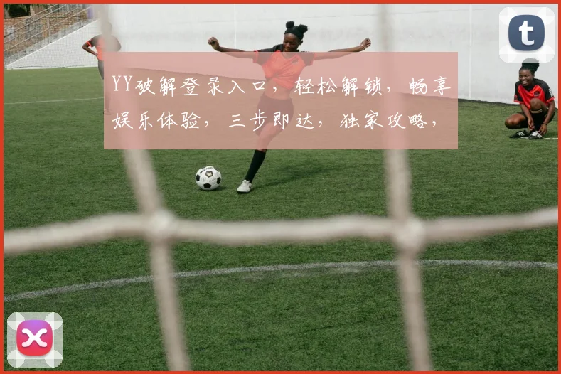 YY破解登录入口，轻松解锁，畅享娱乐体验，三步即达，独家攻略，必看