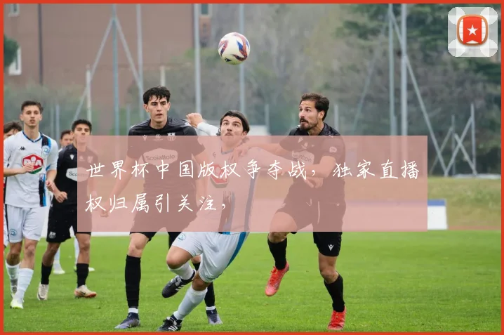 世界杯中国版权争夺战，独家直播权归属引关注，