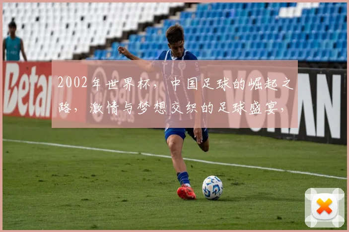 2002年世界杯，中国足球的崛起之路，激情与梦想交织的足球盛宴，精彩回顾