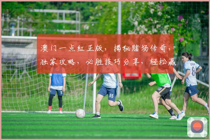 澳门一点红正版，揭秘赌场传奇，独家攻略，必胜技巧分享，轻松赢钱
