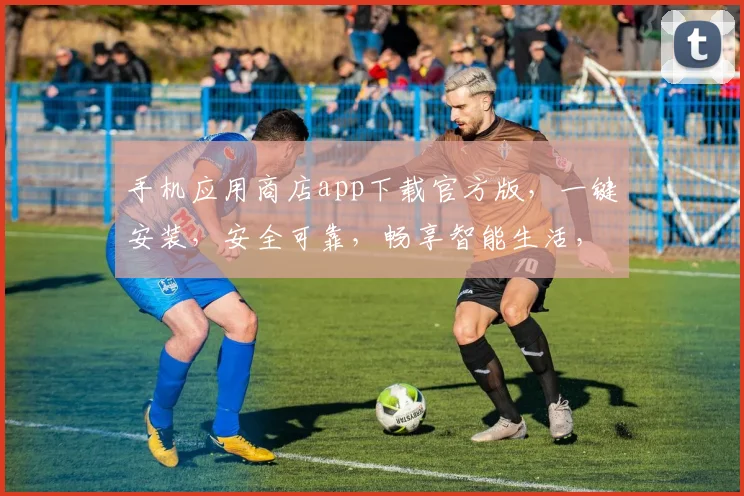 手机应用商店app下载官方版，一键安装，安全可靠，畅享智能生活，三步搞定，体验非凡。